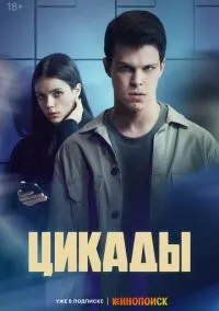 сериал Цикады (1 сезон)